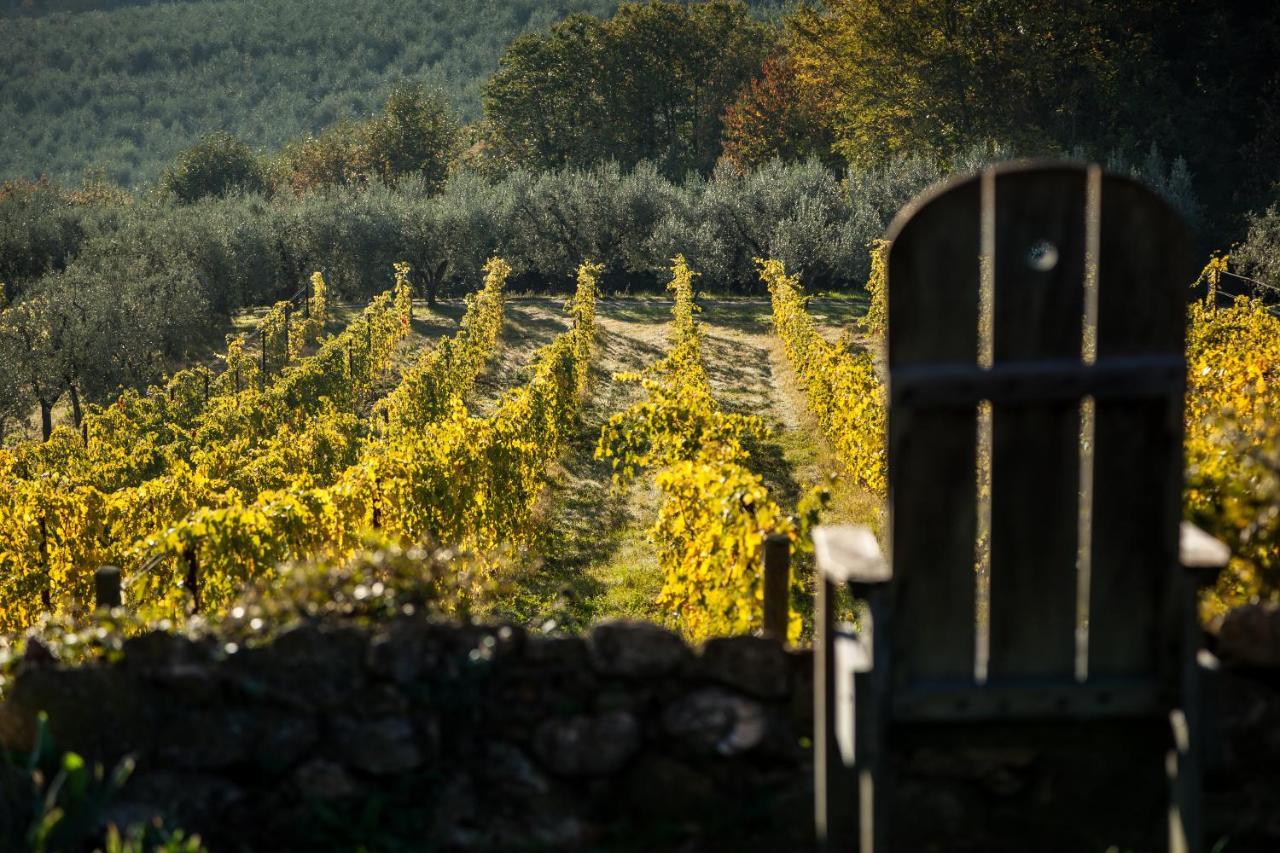Agriturismo San Martino Montepulciano Luaran gambar